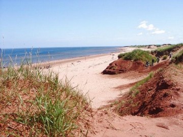 the beach