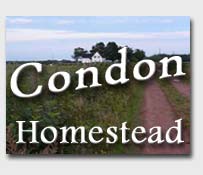 Condon Homestead