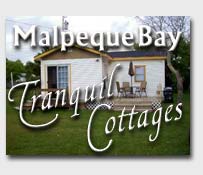 Waterfront Malpeque Bay