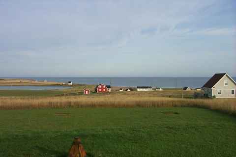view from cottage